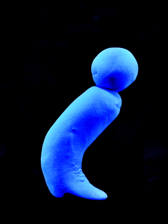 Gentleman toilet symbolの写真素材