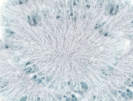 Fluid abstract white background, solidified epoxy resin structure close-upの写真素材