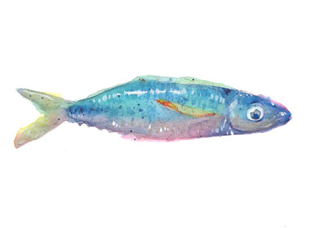 sea fish watercolor drawing. Watercolor splash, paper texture. Isolated little neon fish illustration. abstract design element.の写真素材