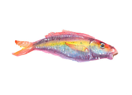 sea fish watercolor drawing. Watercolor splash, paper texture. Isolated little neon fish illustration. abstract design element.の写真素材