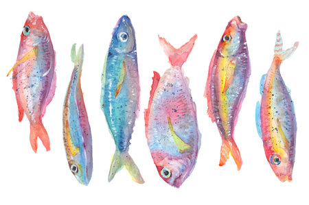 A flock of fish on white background. Watercolour drawingの写真素材