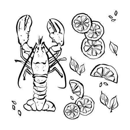 Cute summer pattern Lobster, lime, hand drawn Vector illustration, wallpaper, wrapping and printsのイラスト素材