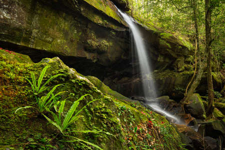 Tham Yai waterfall at Phu Kradueng national park, Loei Thailandの写真素材