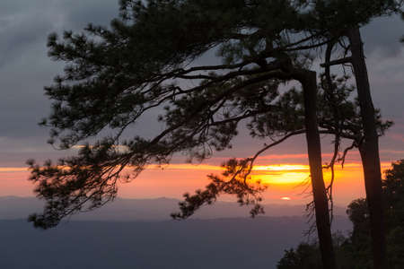 Majestic sunset in the mountains landscape, Phu Kradueng national park, Loei Thailandの写真素材