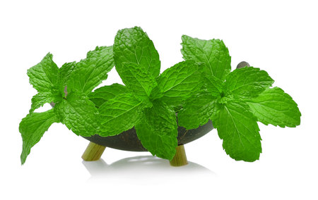 Fresh mint leaves isolated on white background