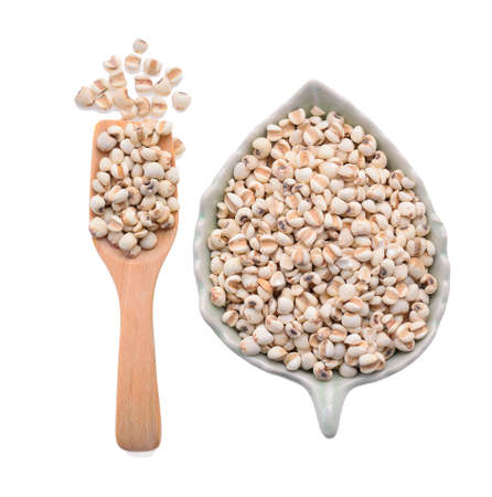 millet grains on white backgroundの写真素材