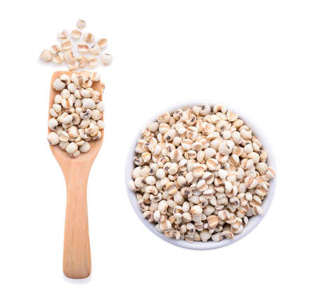 millet grains on white backgroundの写真素材