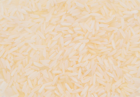 rice background