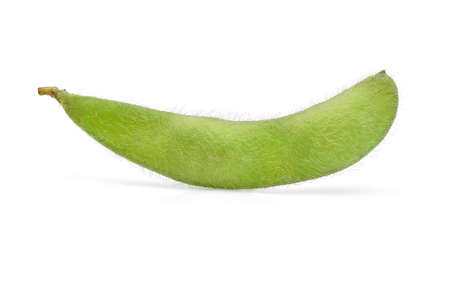 Fresh green soybeans on white backgroundの写真素材