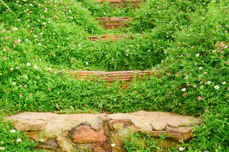 stone stairs and diversity of colorful flowersの写真素材