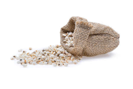millet grains on white backgroundの写真素材