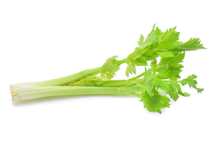 Celery isolated on white backgroundの写真素材