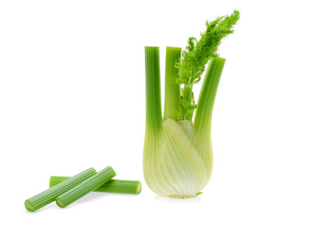 fennel isolated on white backgroundの写真素材