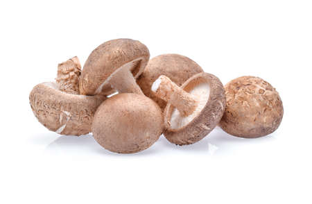 Shiitake Mushrooms isolated on white backgroundの写真素材