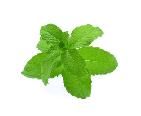 Mint leaves isolated on white background.