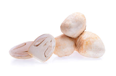 Straw mushrooms flower isolated on white backgroundの写真素材