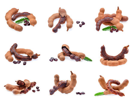 Tamarind isolated on the white backgroundの写真素材