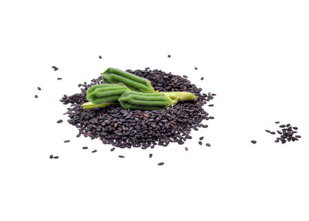 Black Sesame Seeds isolated on white background.の写真素材