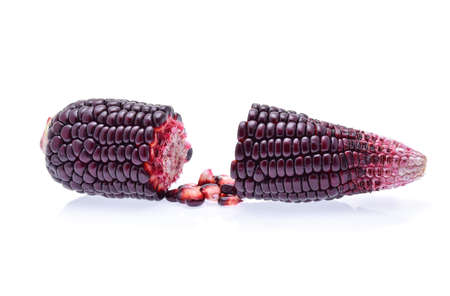 purple corn on white backgroundの写真素材