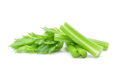 Celery isolated on white backgroundの写真素材