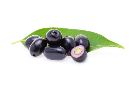 Jambolan plum or Java plum on white background