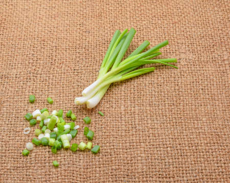 green onion の写真素材