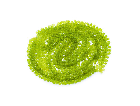 Umi-budou, grapes seaweed or green caviar isolated on white background