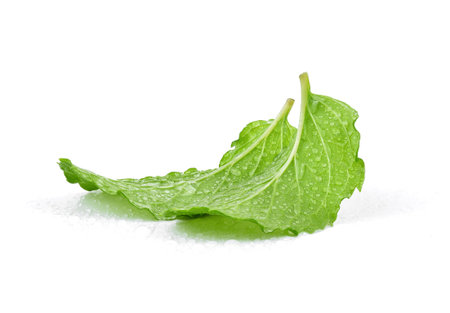 cabbage lettuce isolated on white background