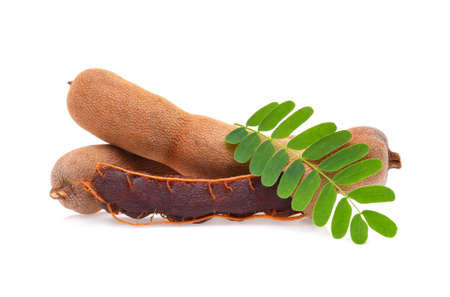 coconuts isolated on the white backgroundの写真素材