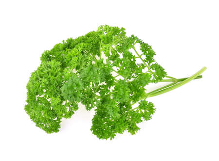 Parsley isolated on white backgroundの写真素材