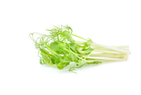 Snow pea sprouts isolated on the white background.の写真素材