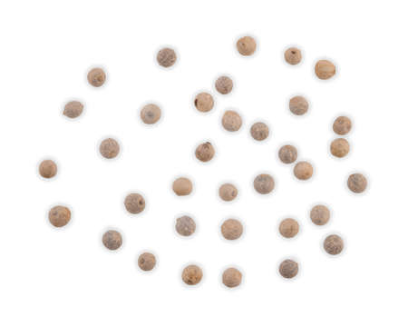 Top view of white peppers on the white background.の写真素材