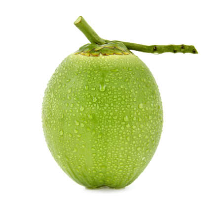 water drop green coconut isolated on white backgroundの写真素材