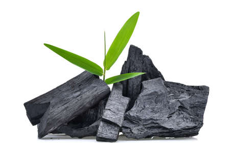 Natural wood charcoal isolated on white backgroundの写真素材