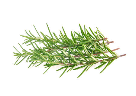 Rosemary isolated on white backgroundの写真素材