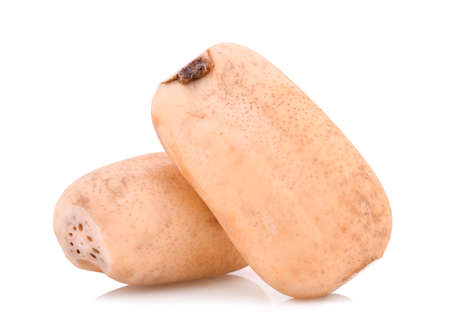 Lotus root isolate on white backgroundの写真素材