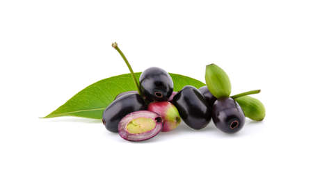 Jambolan plum or Java plum isolated on white backgroundの写真素材