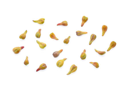 grape seed isolated on white backgroundの写真素材