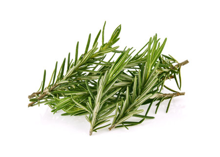 Rosemary isolated on white backgroundの写真素材
