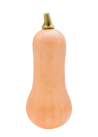 butternut squash slice isolated on white backgroundの写真素材