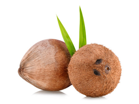 Coconut isolated on white backgroundの写真素材