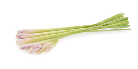 Lemongrass isolated on white backgroundの写真素材