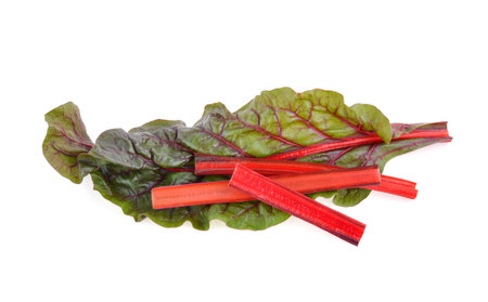 rhubarb isolated on white backgroundの写真素材