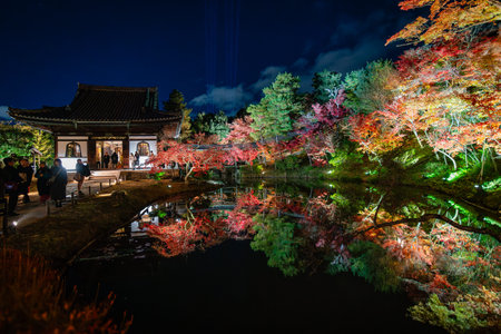 Autumn Illumination at Kodaiji Temple