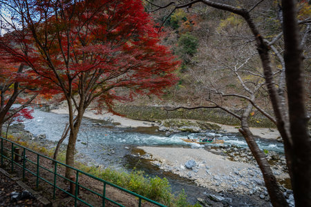 Beautiful Autumn View from the Sagano Romantic Railway, Japanの写真素材