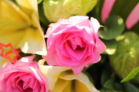 flowerの写真素材