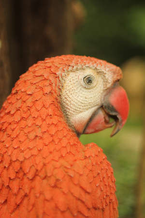 figureの写真素材