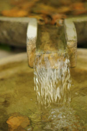 gardenの写真素材