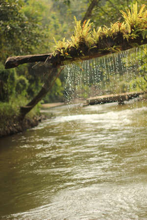 riverの写真素材