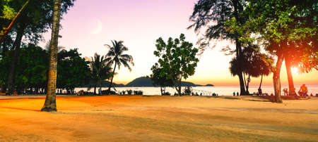 Patong beach at sunset in Phuket island famous tourists destination in Thailand - Silhouette of palm trees and people relaxing on the shore at dusk falling light - Tropical holidays conceptの写真素材